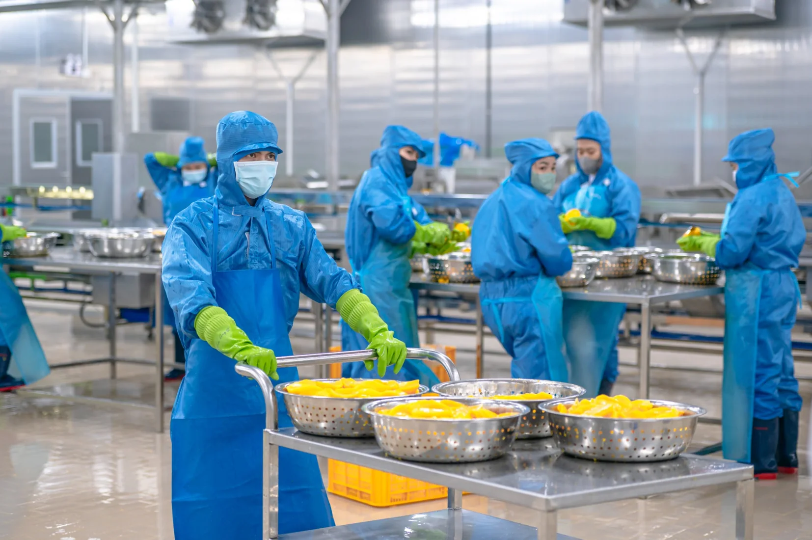 Real food processing team