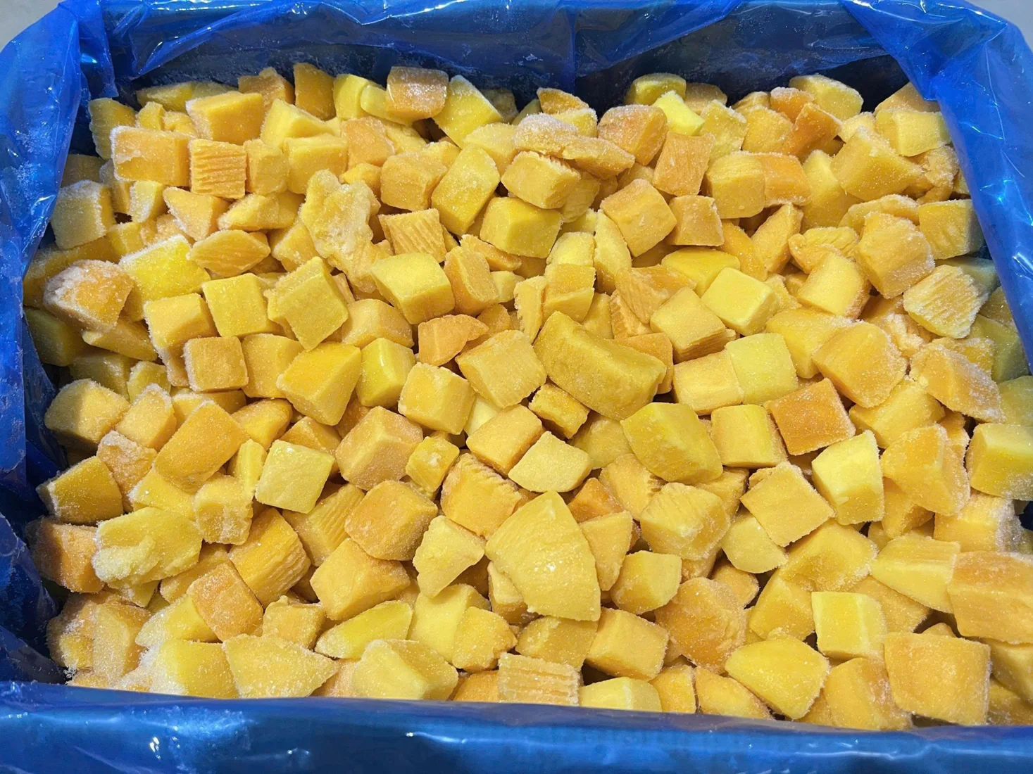 Actual IQF frozen mango cubes